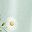 Floral Light Green