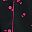Black Pink Cherry