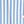 Light Blue Stripe
