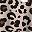 Leopard Print