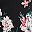 Black Floral