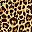 Brown Leopard