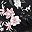 Black Floral