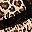 Brown Leopard