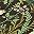 Ink Moss Green