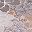 Grey Taupe