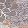 Taupe Grey