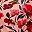 Floral Orange Pink
