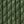 Moss Green