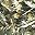 Camo Dark Green