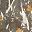 Camo Maple