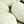 Ivory Extra Large