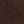 Dark Umber