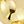 Gold Tone
