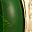 Gold Tone Green