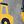 Cool Gray Yellow