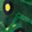 Dark Green Yellow
