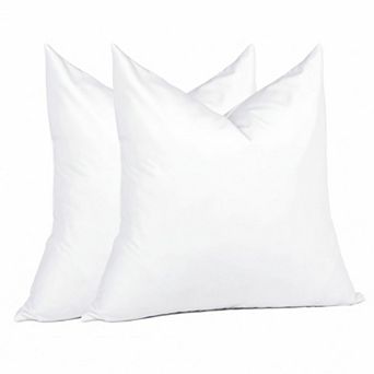 Down Throw Pillow Inserts Set of 2 Feathers Filling Machine Washable Decorative for Floor Couch Bed