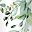 Eucalyptus Sage Green