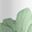 Sage Green White