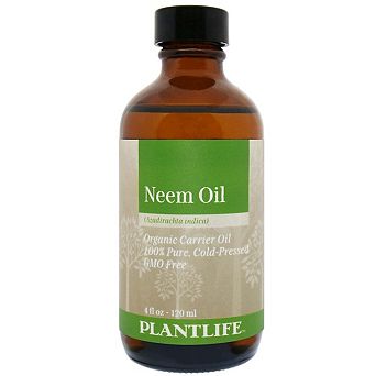 Plantlife Organic Neem Carrier Oil for Decorative Aroma Blending, 4 oz