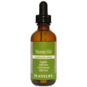 Plantlife Organic Neem Carrier Oil for Decorative Aroma Blending, 2 oz