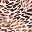 Feather Print