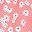 Pink Flower