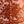 Burnt Orange Ivory