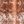 Burnt Orange Beige