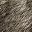 Browngrey