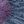 Black Blue Gray Purple