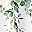 Eucalyptus Sage Green