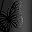 Butterfly Black