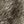 Browngrey
