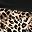 Black Khaki Leopard
