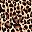 Brown Leopard