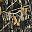 Camo Black