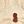 Beige Brown Stem
