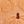 Pumpkin Brown Stem