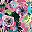 Blue Pink Floral