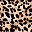Leopard Print