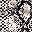 Snake Print