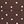 Brown Polka Dots