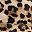 Brown Leopard