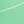 Katydid Green White