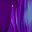 Purple Print
