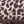Print Leopard