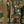 Woodland Camo