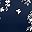 Navy White